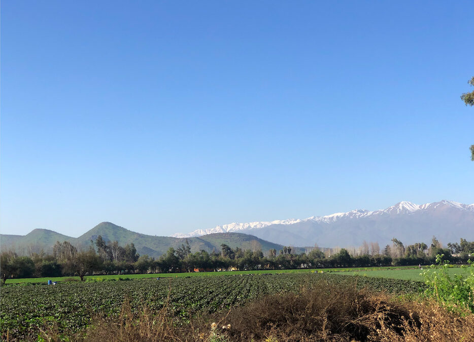 ÓPTIMA UBICACIÓN PARA NEGOCIO …………. (U.F. 2 / M2)