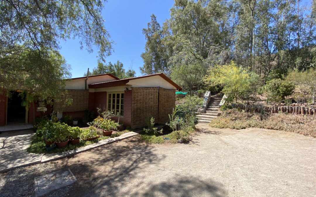 PARCELA CON FRUTALES Y ARBOLES AÑOSOS…… (6.000 U.F)