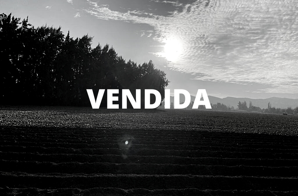 LOTEO PRIVADO URBANIZADO……. (DESDE U.F 5.100)