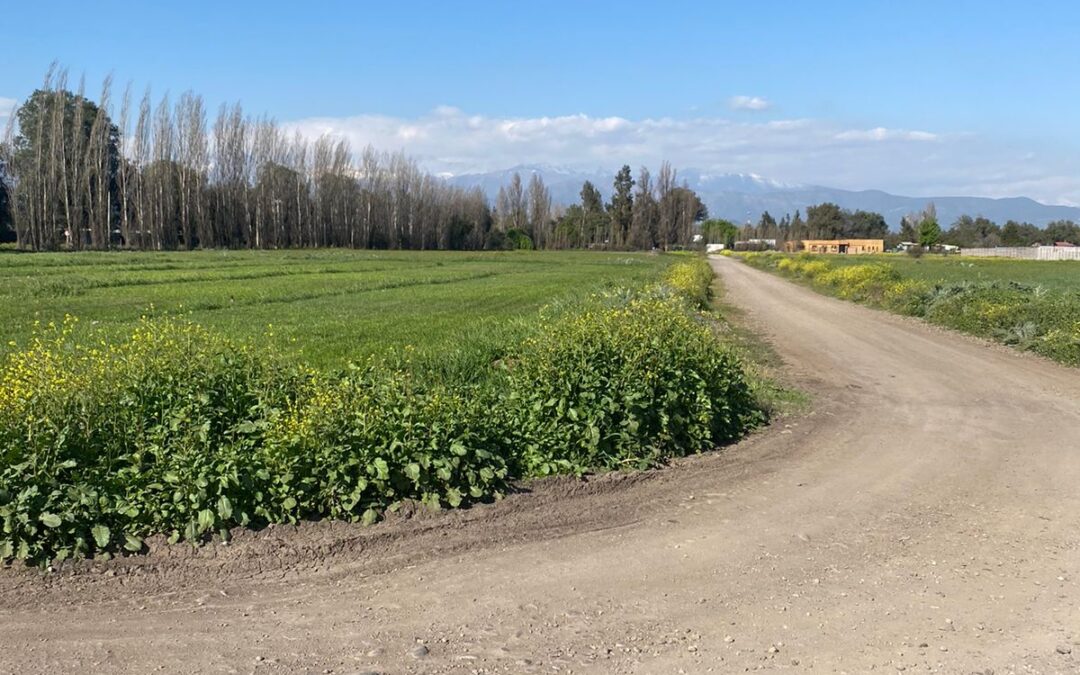 LOTEO PRIVADO CON EXCELENTE UBICACIÓN……..(DESDE U.F 3.800)