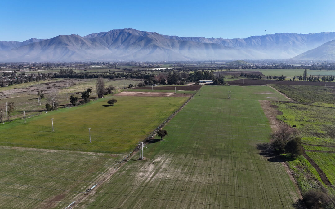 VENTA PARCELAS INIGUALABLES…..(DESDE U.F 2.650)